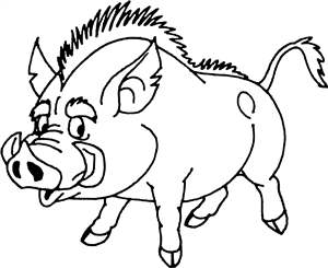 Wild Boar