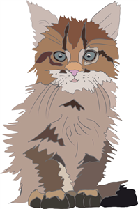 Kitten