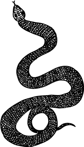 Scaly Snake