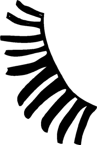 Fake Eyelash