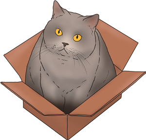 Cat In A Box