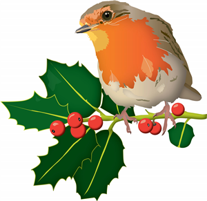 Christmas Robin