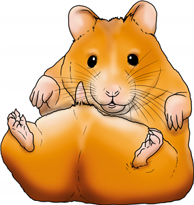 Hamster On It