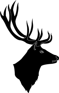 Stag