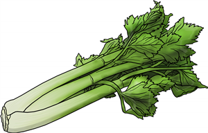 Celery