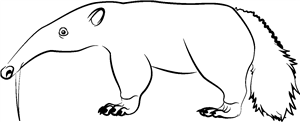 Anteater