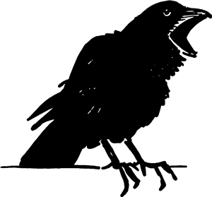 Crow Cawing