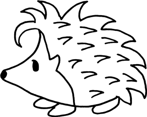 Cute Hedgehog