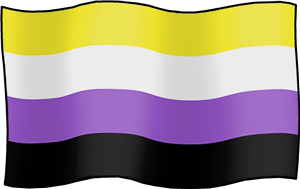 Non Binary Pride Flag