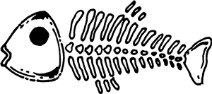 Fish Skeleton
