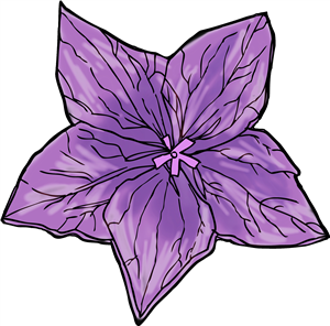 Purple Flower