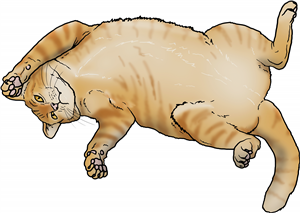 Chubby Ginger Cat