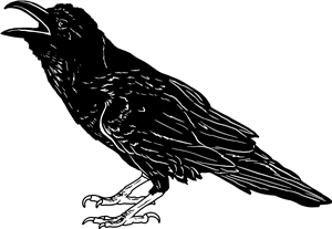 Raven Calling