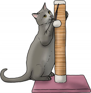 Cat Scratching Post