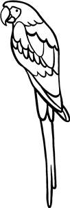 Parrot