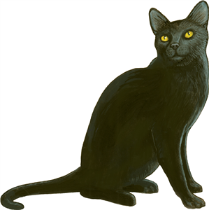 Sitting Black Cat