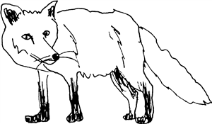 Standing Fox