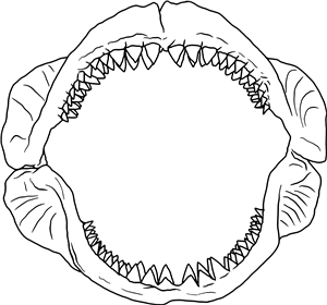 Shark Jaws