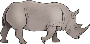 Rhino