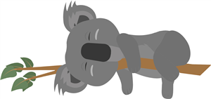 Sleeping Koala