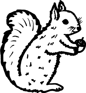 Squirrel Holding Acorn