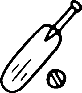 Cricket Bat & Ball