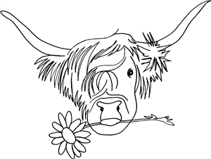 Highland Cow With Flower