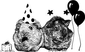 Guinea Pig Party