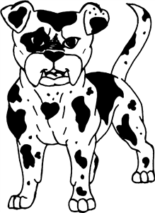 American Bulldog