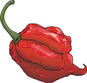 California Reaper Chilli