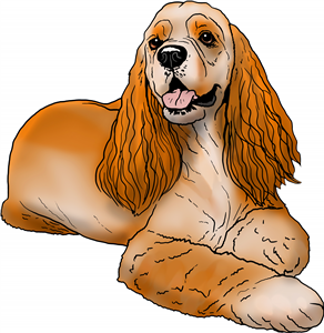 Cocker Spaniel
