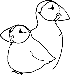 Pair Of Puffins