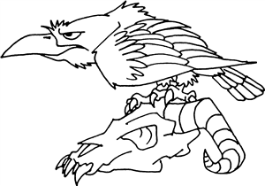 Crow On Skull