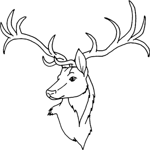 Stag Head