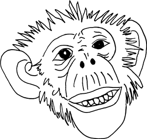 Monkey Face