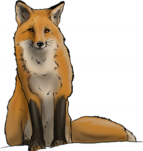 Sitting Fox