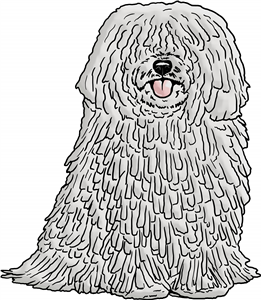 Puli Dog