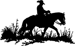 Cowboy On Horse
