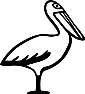 Pelican