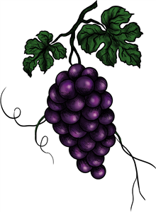 Hanging Grapes