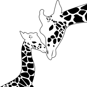 Giraffe Love