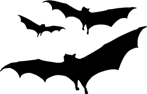 Flying Bats