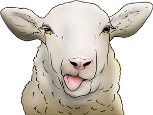 Silly Sheep