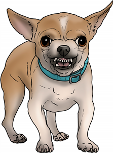 Growling Chihuahua