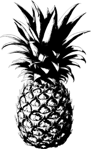 pineapple