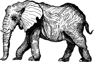Elephant
