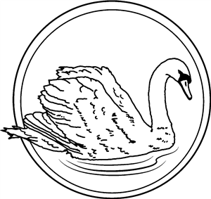 Graceful Swan
