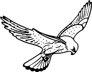 Kestrel