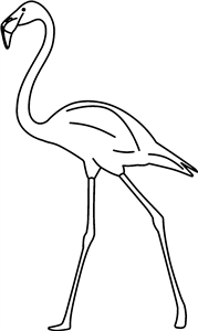 Walking Flamingo