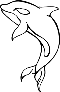 Orca